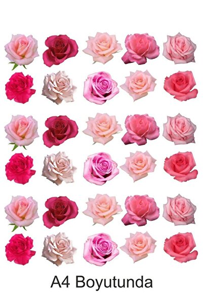 Atölye7Tasarım الورود الوردية الزهور كعكة A4 الصالحة للأكل زخرفة المعجنات كوكي السكر اللب ورقة الطباعة المطبوعة