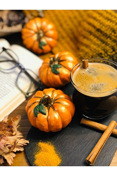 Reynes Balkabağı Dekor Set 3'lü Set Halloween Biblo Dekoratif Kabak Obje