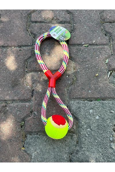 CARNIVAL LAND 1 Piece String Dog Play Ball - Energy Running, Get It, A Quality, Different Colors