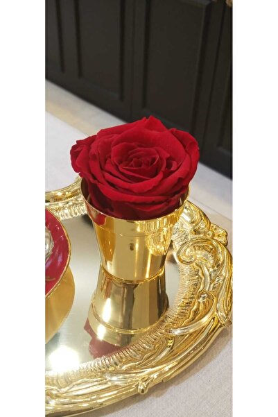 MELT HOME DESİGN Gold Mini Vazo