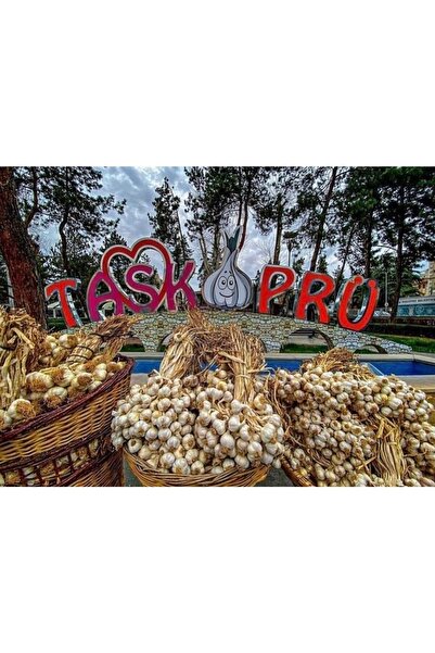 Ponem Coğrafi Tescilli Kastamonu Taşköprü Iri Boy Doğal Sarımsak 1 Kg