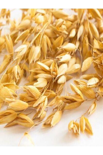 KAPPADOKİA Katkısız Ince Kıvam Yulaf Ezmesi 1 Kg. Eko Paket (Yeni Hasat)
