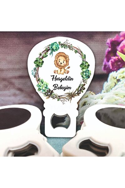 Ege ajans 10 Adet (İSİMLİ KARTLI VE JELATİNLİ) Aslan Konsept Balon Açacak Magnet