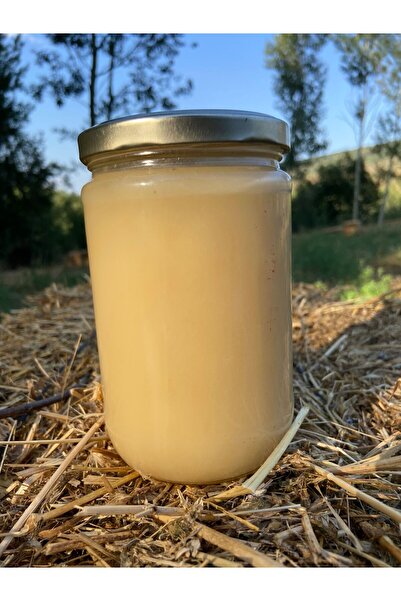 Gıdaevi Beyaz Donmuş Bal 850 Gr