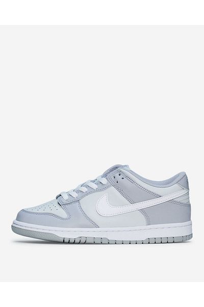 Nike Dunk Low Two Toned Gray (GS) Women's Sports Shoes - DH9765-001