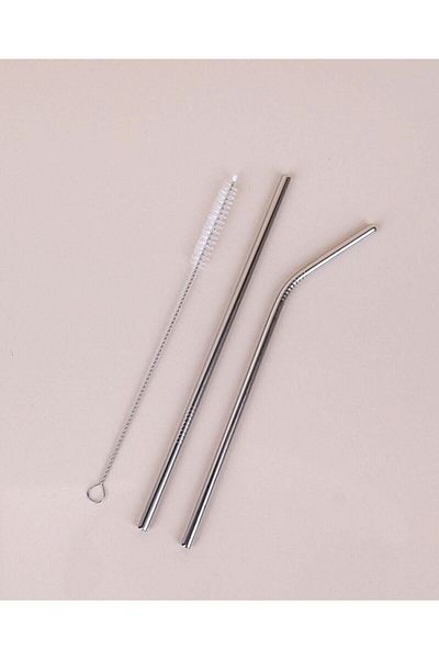 Bastonlu Set of 2 Stainless Steel Metal Straws and Cleaning Brush