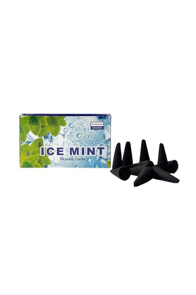 Darshan Incense ICE MİNTE Konik Tütsü 10 Adet