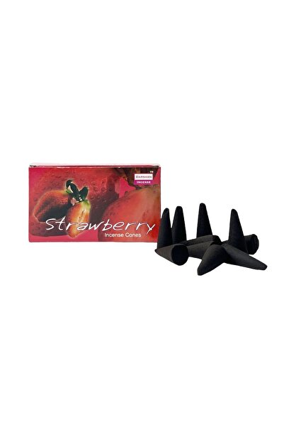 Darshan Incense STRAWBERRY Konik Tütsü 10 Adet