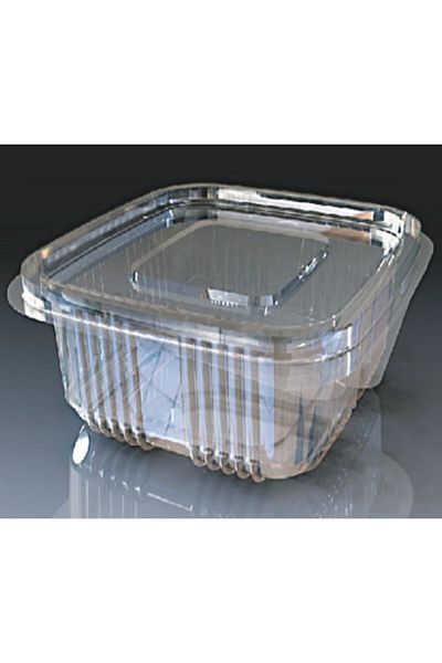 ZFR PLASTİK Leakproof Food Container Bowl with Transparent Lid 100 Pieces Flat Lid All Size 250 Gr