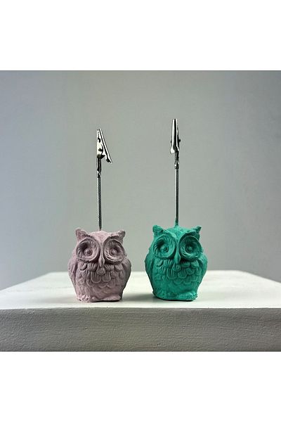 oasis decoration Owl Note Holder Set of 2 (ice Green - Pink)
