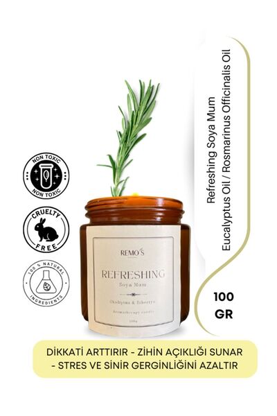 RemosNatural REFRESHİNG Soya Mum Biberiye&Okaliptus 100 ml