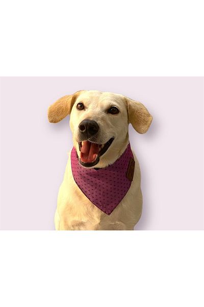 meowuf Stylish Bandana with Cat and Dog Pattern