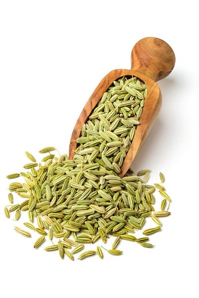 bitki diyarı 100G Fennel