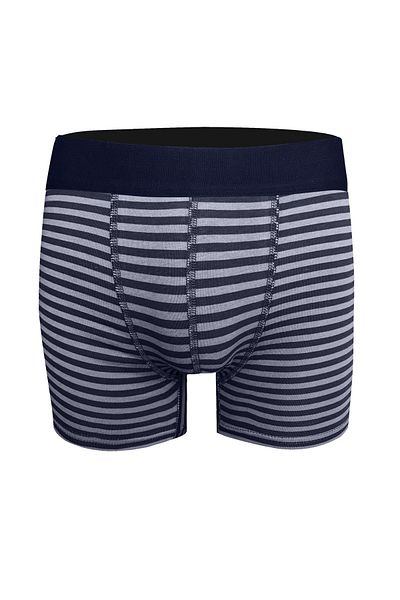 darkzone Ανδρικά μπόξερ με μοτίβο Navy Blue
