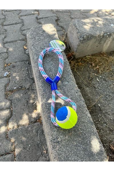 CARNIVAL LAND Rope String Dog Play Ball - Training and Chewing Shoes