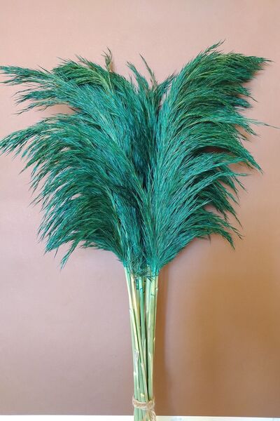 EÇiçek Pampas Otu Çiçeği Zümrüt Yeşili Renk