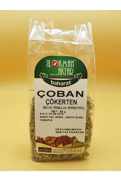 Lokman Shepherd from the Flour - Comfortable Cut