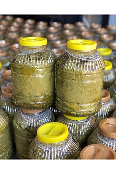 Salamura Yaprakcım 2025 Yeni Sezon Manisa Turgutlu Sultaniye Cinsi Salamura Yaprak 5 Litrelik Bidon