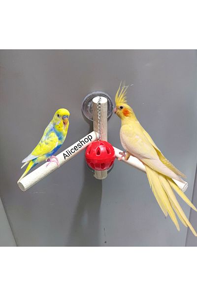 aliceshop SulTan Sevda Heaven Budgie - Glass Perch wiTh Bell and SucTion Cup