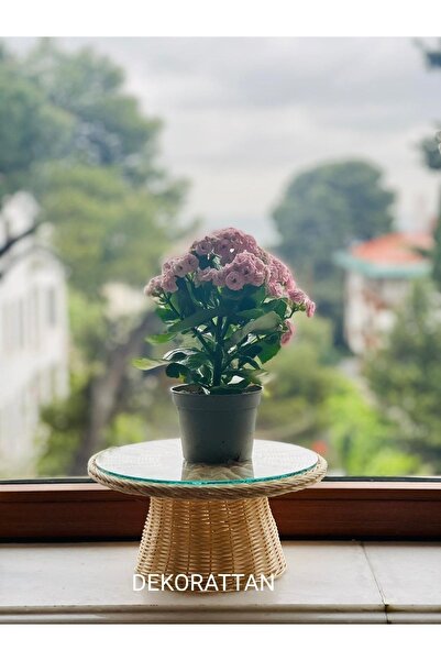 DEKORATTAN Rattan Bambu Hasır Sunumluk Stand