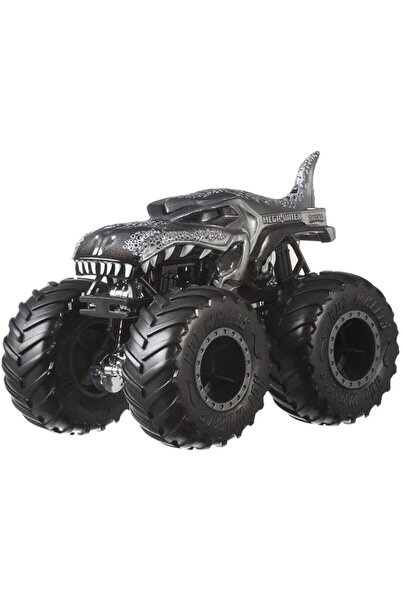 HOT WHEELS Monster Trucks Arabalar 1:64 (KARIŞIK MODEL 1 ADET)