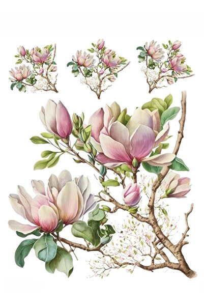 MyHobby Sulu Transfer Kağıdı Lnt-138 25x35 Cm