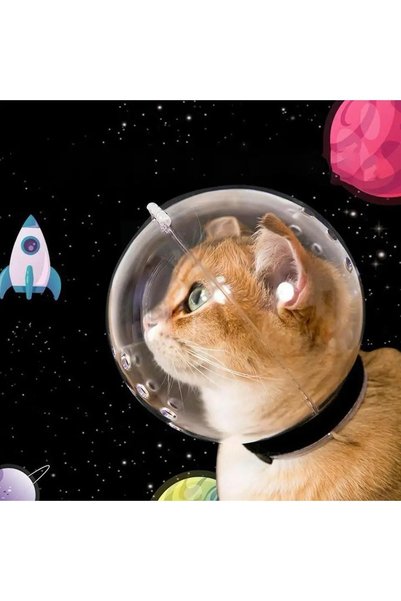 Generic Brand Cat Transparent Breathable Head Hood Adjustable Helmet Bite Resistant Grooming Pet Round Headgear Astronaut