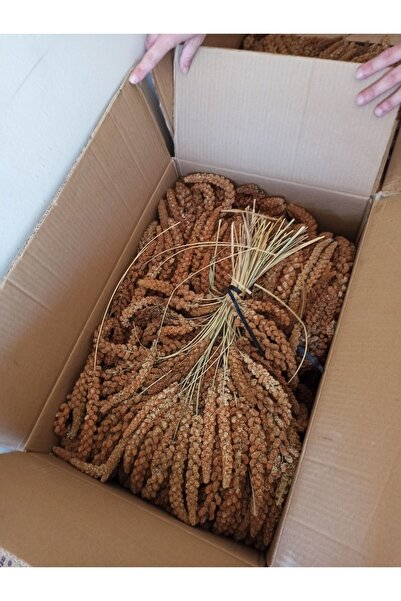 Gür Dal Darı Muhabbet Kuşu Yemi 10 Kg.