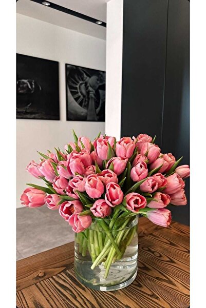 P H Panayır Home 1 Adet Cam Yuvarlak Vazo, Silindir Saksı Cam Mumluk, 10x10 Cm