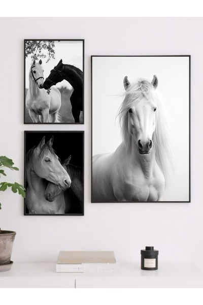 Hediye köşem Ahşap çerçeve şeffaf PVC ön koruyucu at temalı tablo seti (35x50...