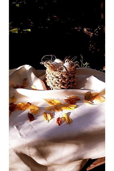 Egindra Mini Wicker Basket - Decorative Egg, Catering Egg Holder