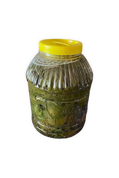 Girelli 2024 Mahsul Salamura Asma Üzüm Yaprağı Manisa Alaşehir