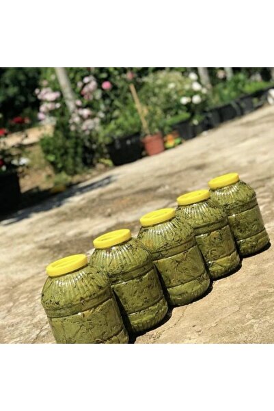 Tokat Sultanıye Salamura Yaprak 3,5 Lt Ince Ve Damarsız