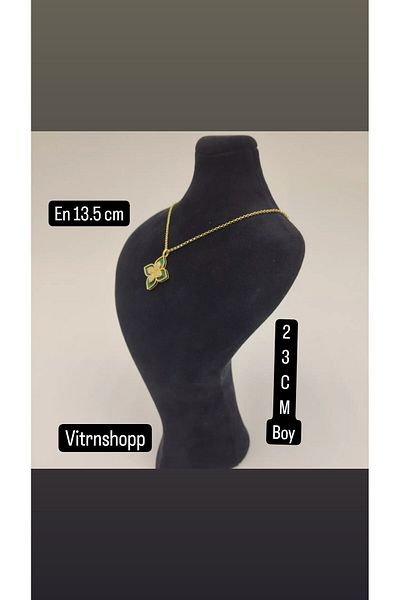vitrinshop Jewelry store supplies showcase decorations neck mannequin