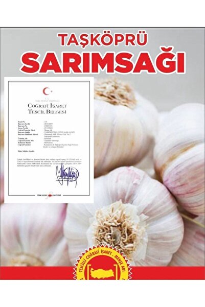 Ponem Coğrafi Tescilli Kastamonu Taşköprü Iri Boy Doğal Sarımsak 1 Kg
