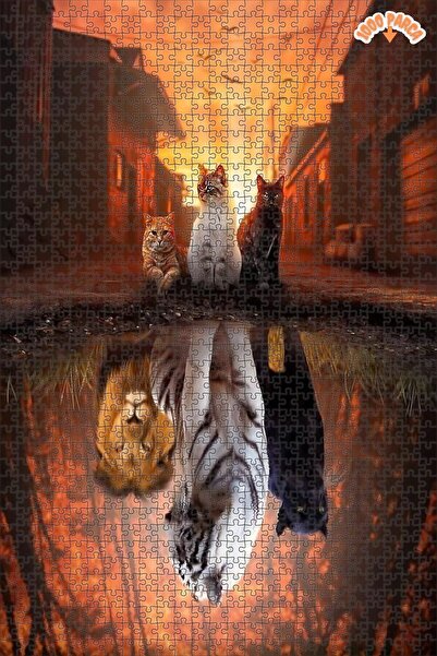 Teona Ahşap Kedilerin Hayali Dekoratif Çift Katlı Çerçeveli Asılabilir Ahşap ...