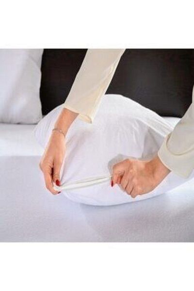 Denizli Alez Set of 2 Liquid Proof Pillows