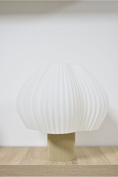 Deep Teknoloji Luminova Modern Bone White Lampshade