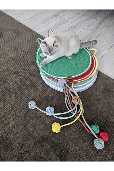 Quun Cat Scratching and Mat Rug - Play and Cat Effect