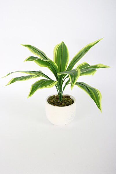 Yapay Çiçek Deposu نموذج نبات صناعي ذو أوراق طويلة مقاس 42 سم - 10 في وعاء خرساني