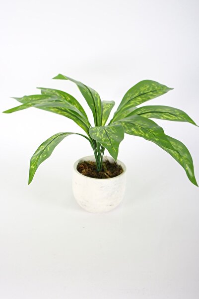 Yapay Çiçek Deposu نموذج نبات صناعي مقاس 42 سم - أوراق طويلة