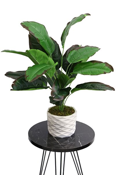 Yapay Çiçek Deposu Yapay Çiçek 18 Dallı Lüx Egzotik Bitki 65cm Yeşil-kahve