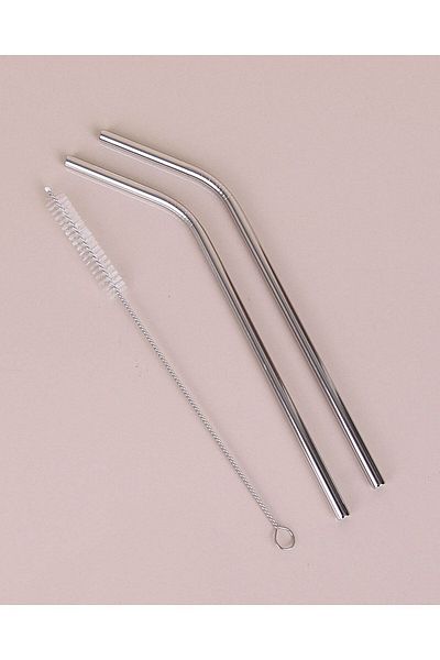 TREND Stainless Steel 2-Piece Straw Set - Cleaning Brush Metal Straw