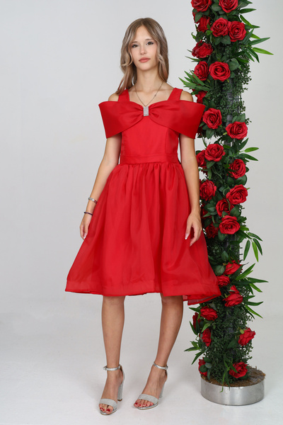 Asortix Birthday Girl's Party Dress