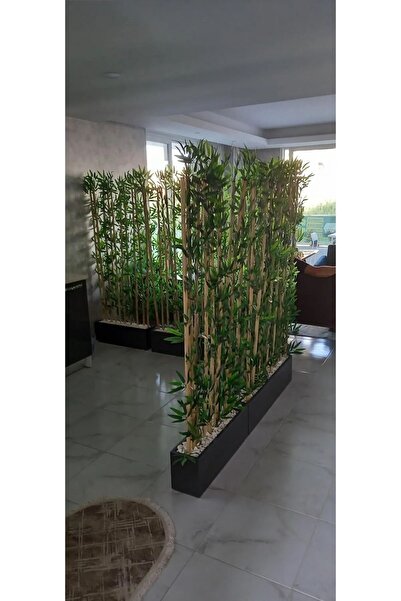 ERHAN FLOWERS 260 Cm Saksıda 130 Cm 38 Lı Bambu Seperatör
