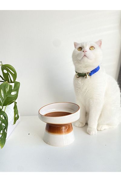 stilinbu Ceramic Cat and Kopek Food Water Bowl (White-Light Brown)