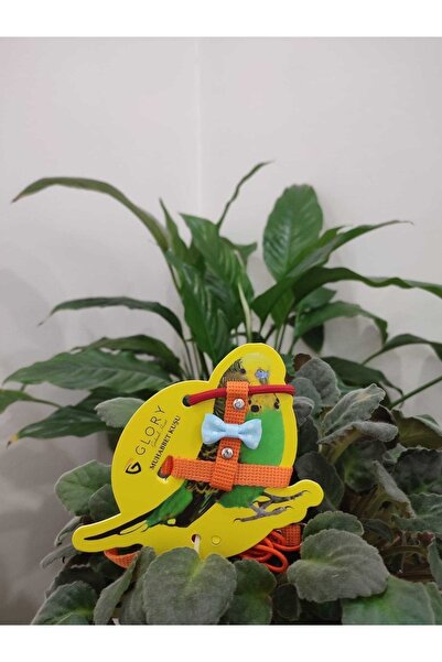 Glory Fiyonklu Kırmızı / Turuncu Muhabbet Kuşu Eğitim Ve Gezdirme Tasması