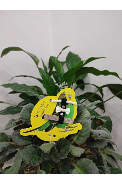 Glory Muhabbet Kuşu Eğitim Ve Gezdirme Tasması Bej / Siyah / Krem / Beyaz / Mavi