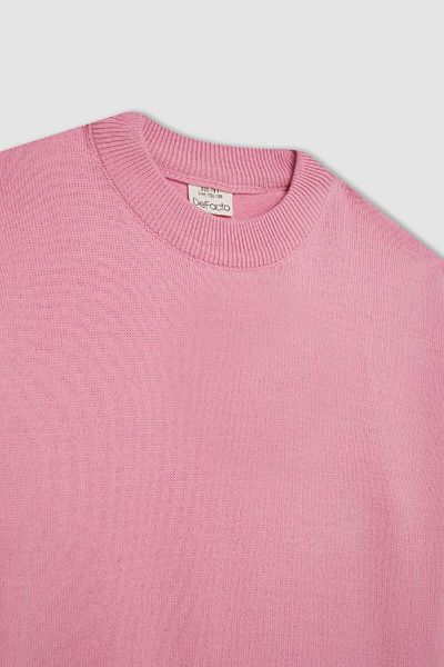 DeFacto Light Pink Crew Neck Knitwear Sweater - Girl, Standard Fit C6902A824Au