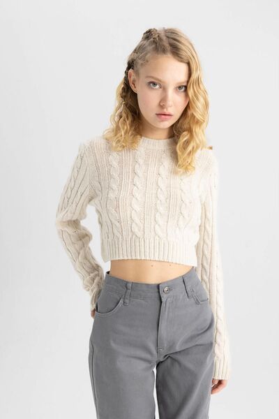 DeFacto Coool Regular Fit Crew Neck Sweater - B1750ax23wn